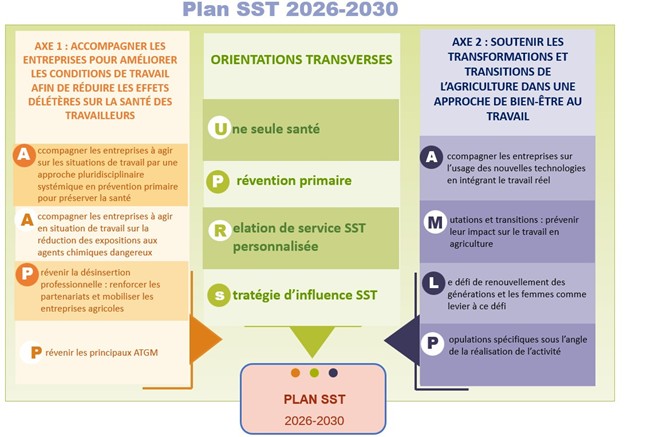 Plan SST 2026-2030